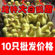 一斤鹅活苗大种白鹅苗产蛋王浙东鹅三花皖西四季鹅母鹅脱温宠物鹅