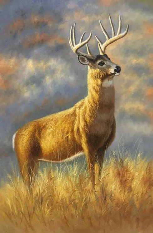 江小明《鹿》画布油画