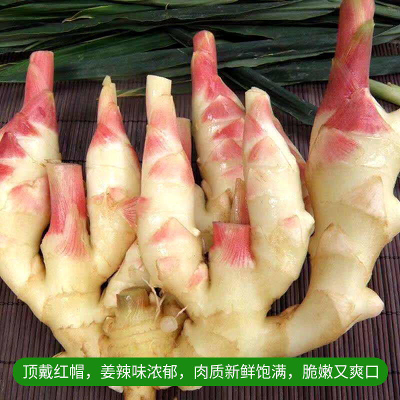 俊俊的折扣店的优惠券大全