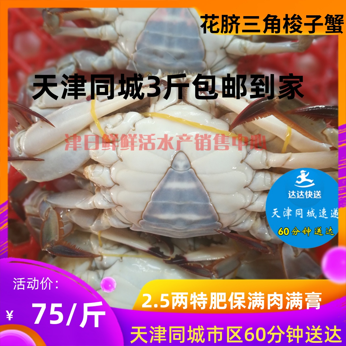 天津海蟹鲜活精品梭子蟹三角野生花脐二姨子飞蟹海鲜圆脐满膏同城