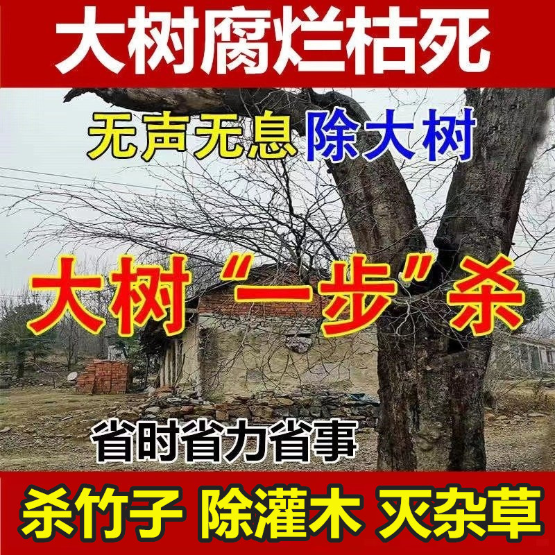 森泰环嗪酮除草烂根剂杀树王除树剂杀大树烂根杀竹剂烂根除草剂