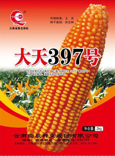 玉米新品种