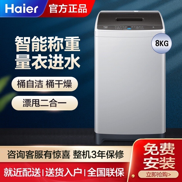 Haier/海尔 EB80M20Mate1全自动家用8公斤大容量自编程波轮洗衣机