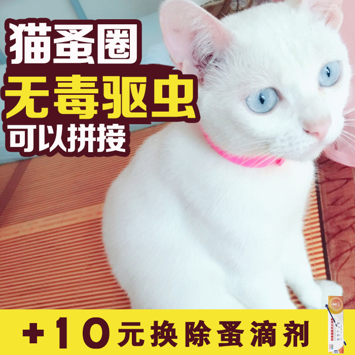猫咪用品狗狗驱虫体外驱虫项圈猫圈除蚤虱子幼猫去除防跳蚤圈在类目 宠物/宠物食品及用品, 猫/狗日用品, 项圈中 - 来自Buy2taobao.com提供专业的淘宝代购服务