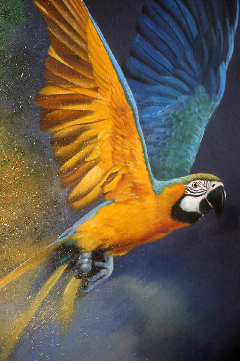 黄剑波 《鹦鹉》实力派超写实