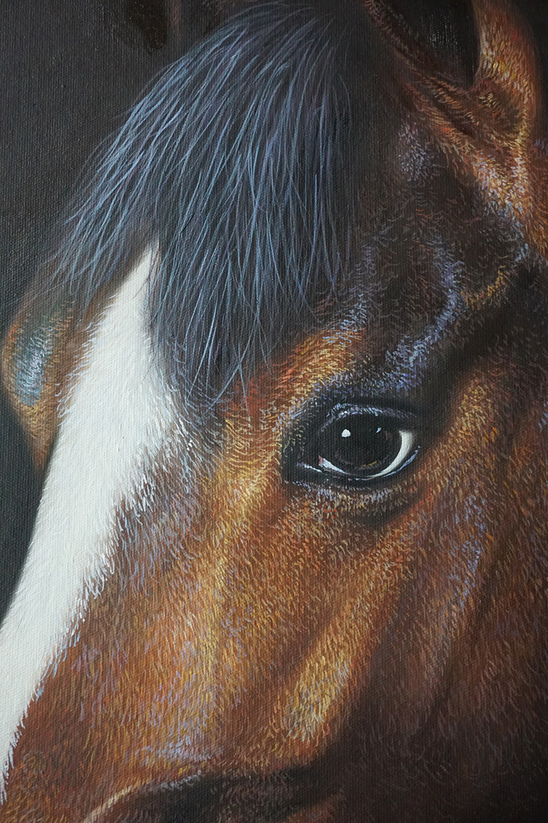 林壮奕《马头》原创实力派画家 写实精品油画