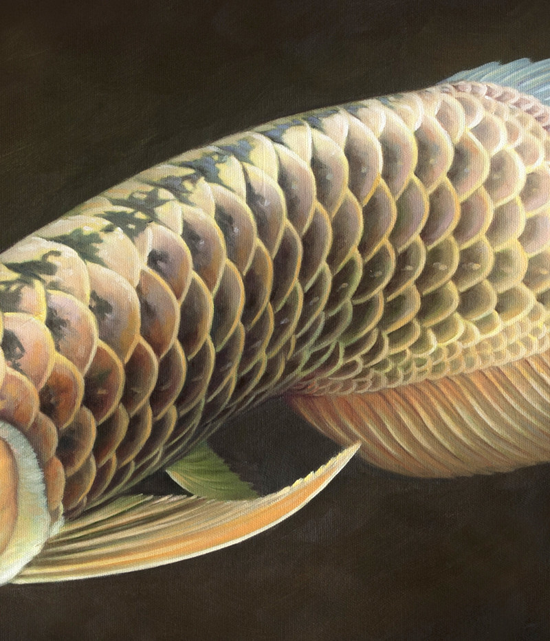 苏章峰《龙鱼系列》收藏级 写实精品油画