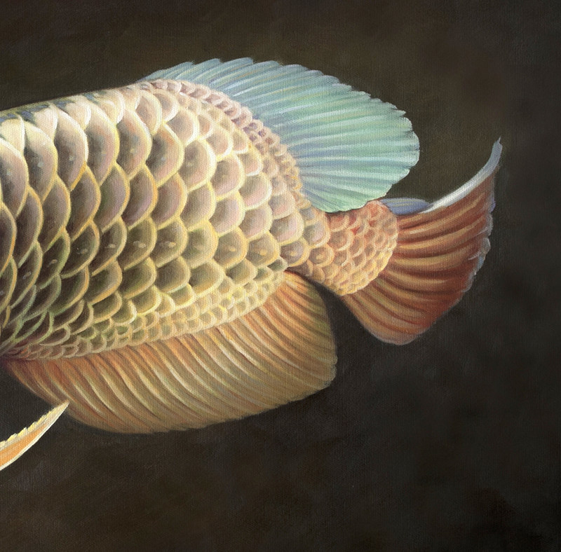 苏章峰《龙鱼系列》收藏级 写实精品油画