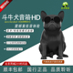 Jarre AEROBULL GREY HD  大斗牛犬无线蓝牙音响便携式音响音箱