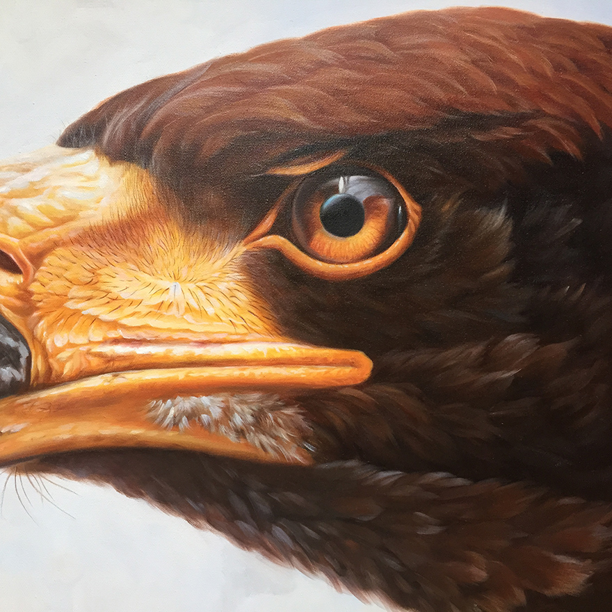 林小杉《鹰》布面油画