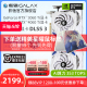 影驰GeForce RTX 3060 Ti/4060 Ti金属大师DLSS3台式电脑全新显卡