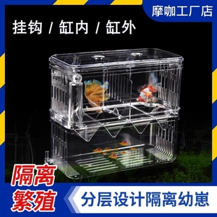 鱼缸孵化盒孔雀鱼斗鱼隔离盒小鱼缸鱼苗小鱼产卵器水族冲氧繁殖盒