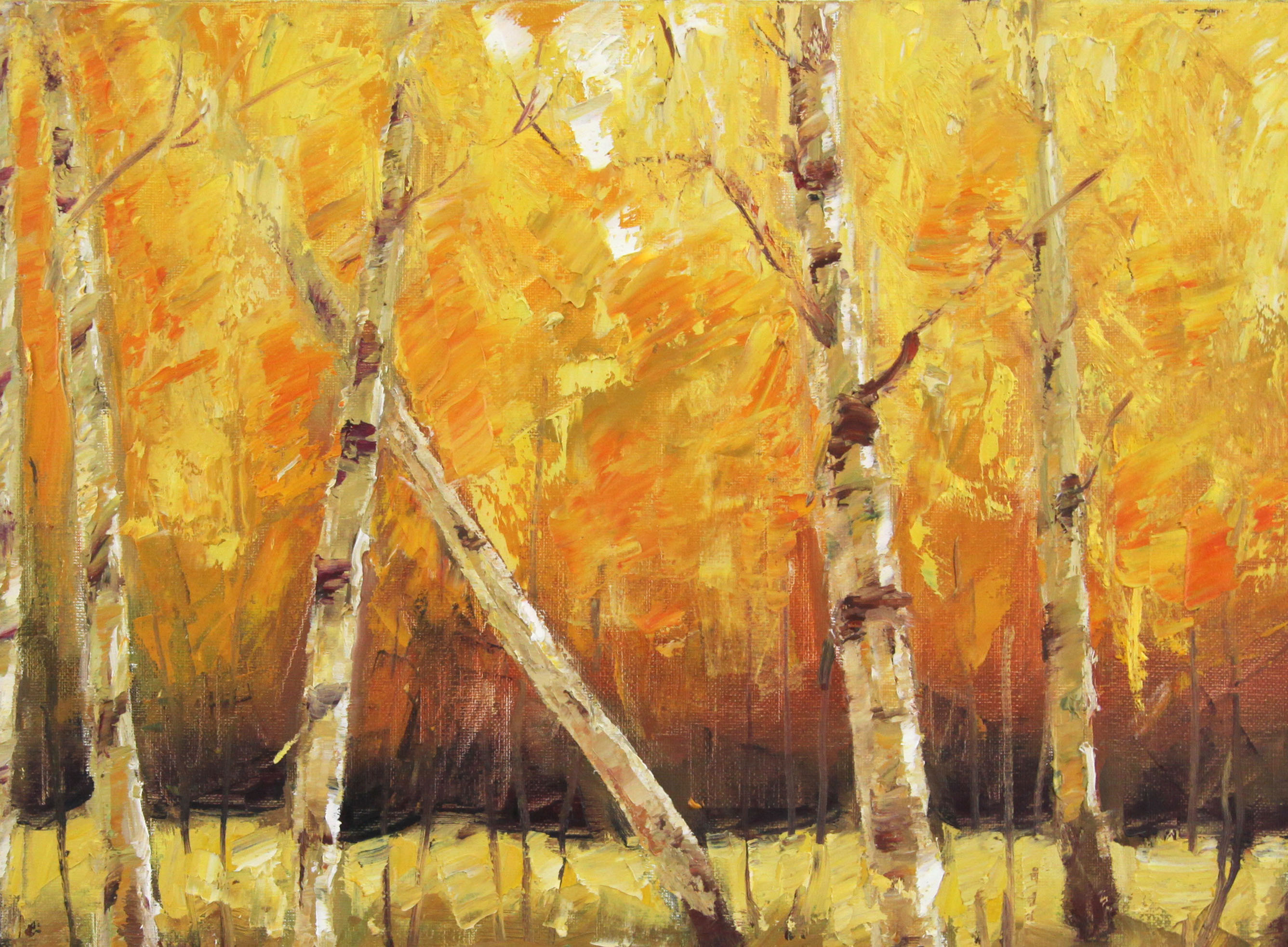 张贵强 《夕照白桦林》 布面油画