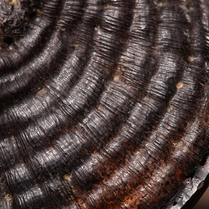 【直供】【天禄神兽】天然达拉干沉香沉水精雕护身貔貅把玩件