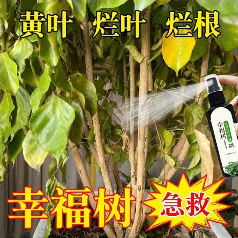 植物活力素浓缩营养液促生长幸福树专用营养液老桩快速发新芽幸福