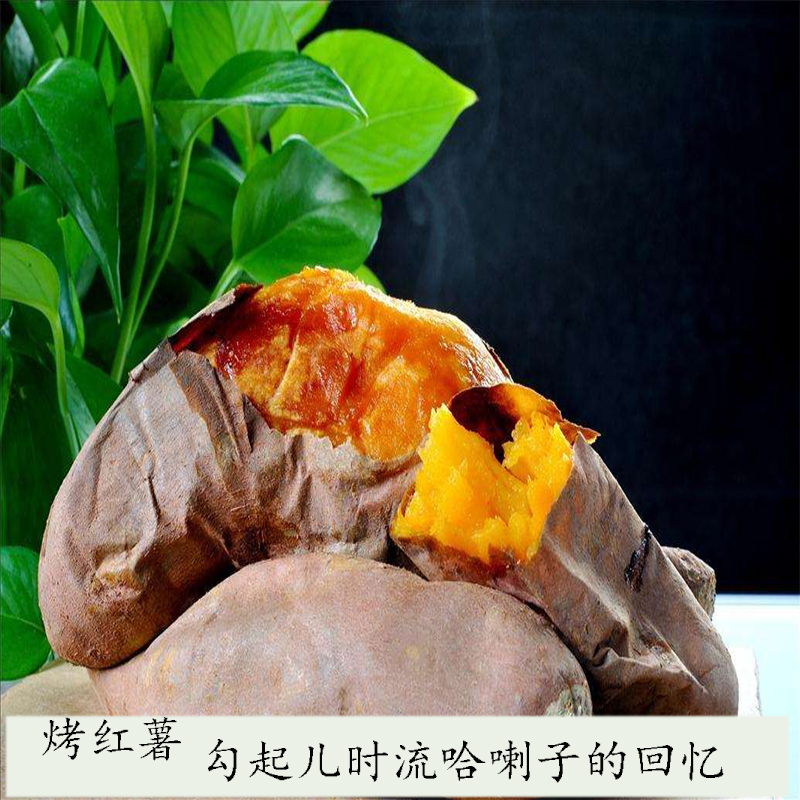 湖南江永西瓜紅紅薯富硒番薯新鮮板栗薯山芋地瓜黃紅心小蜜薯五斤在類目 水產肉類/新鮮蔬果/熟食, 新鮮蔬菜/蔬菜製品, 新鮮蔬菜, 番薯中 - 來自Buy2taobao.com提供專業的淘寶代購服務