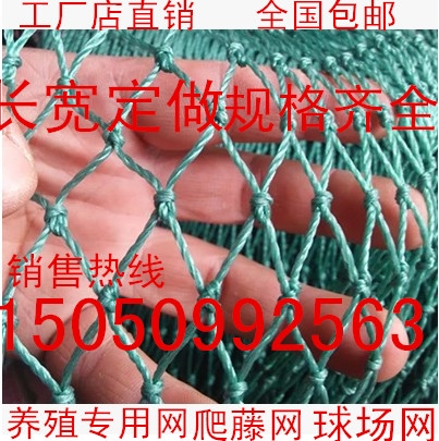 鹅苗 鸡 鸭 网挡鸡网泥龙网 尼龙网鸡网尼龙网 野外养鸡围朔料网|ruв категории доставка цветов/цветок моделирования/растения садоводства, садовых принадлежностей, других садовых принадлежностей - от Buy2taobao.com для оказания профессиональной услуги покупки агента Taobao