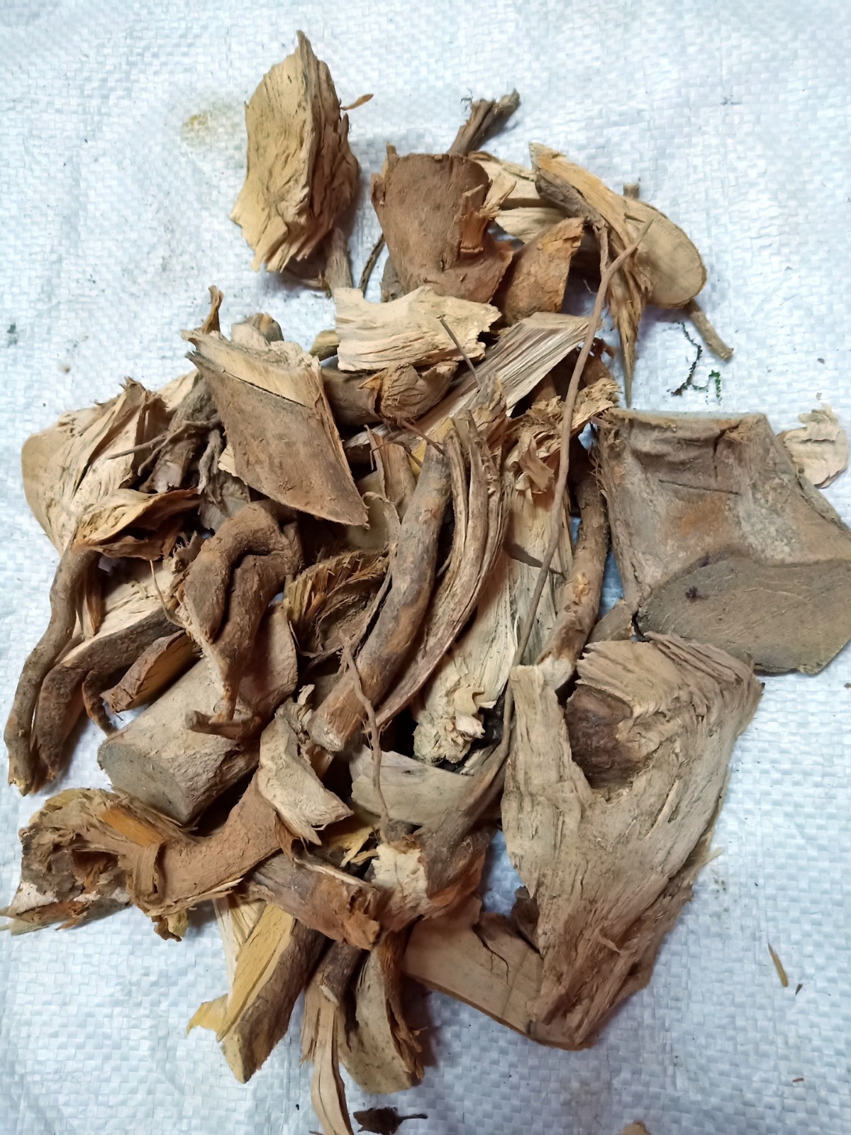 其他药食同源食品紫珠当前网购流行产品