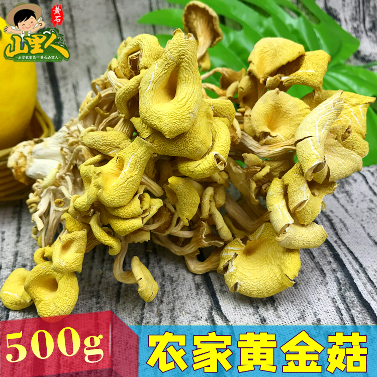 深山鸡油菌干货 黄金菇榆黄菇香菇农家土特产500g包邮