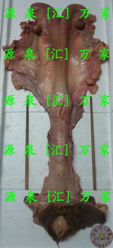 牛欢喜母牛子宫卵巢新鲜牛欢喜牛外阴男用即食可选牛鞭熟食酱牛肉