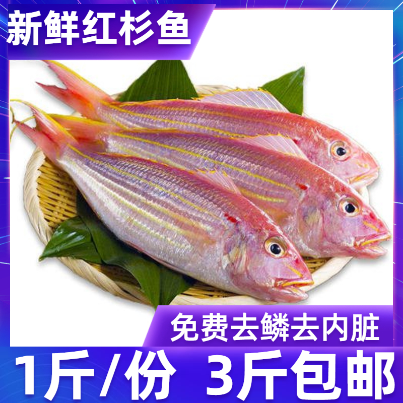 红杉鱼新鲜北海海鲜水产金丝鱼鲜活冷冻海鱼红三鱼野生金线鱼500g