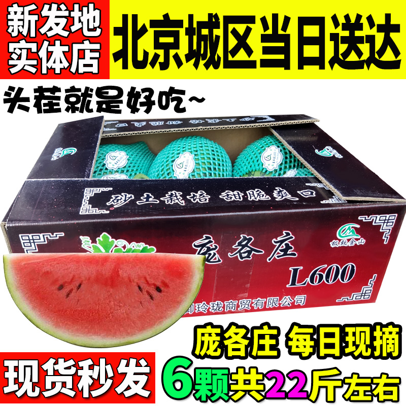 【只发京津冀】大兴庞各庄西瓜牛奶 小麒麟水果新鲜现摘现发6颗装|msdalam kategori daging perikanan/Buah-buahan segar dan sayur-sayuran/dimasak, buah-buahan segar, tembikai - dari Buy2taobao.com untuk memberikan perkhidmatan ejen Taobao profesional membeli