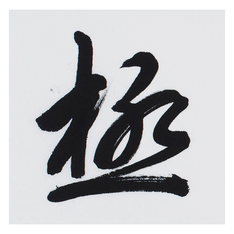 亓圣君《大道无极》著名职业书法家