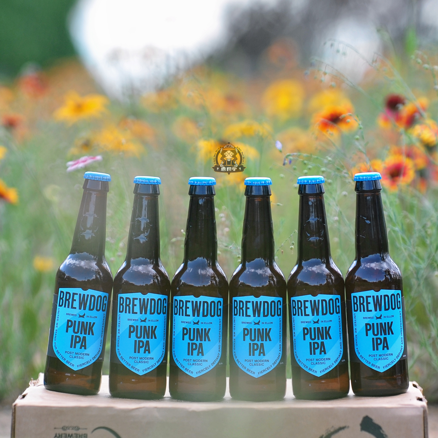 8月到期 酿酒狗朋克啤酒 brewdog‐punk ipa 330ml*24瓶 临期特价