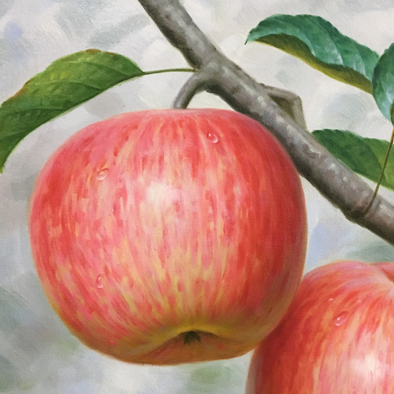 陈军《红苹果》布面油画