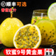 钦蜜9号黄金百香5斤大果甜黄晶果当季水果新鲜孕妇即食整箱包邮