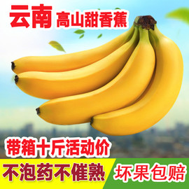 云南香甜大香蕉应季热带水果新鲜banana非皇帝粉芭蕉带箱10斤包邮