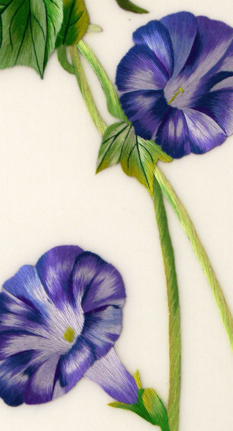 苏绣《牵牛花》 单面绣 刺绣