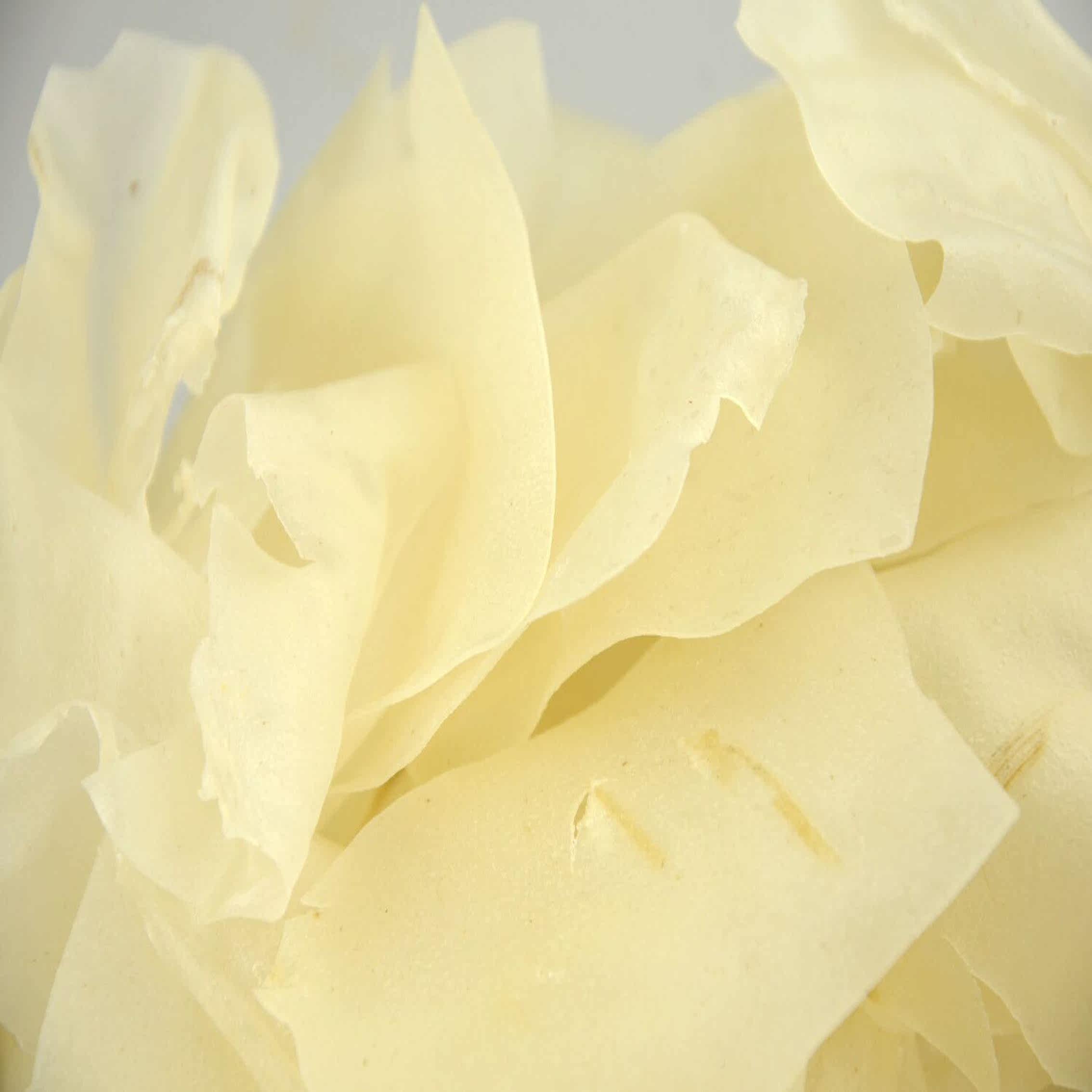 湖南耒阳竹海土特产早餐营养米粉皮纯手工制烫皮5斤包邮