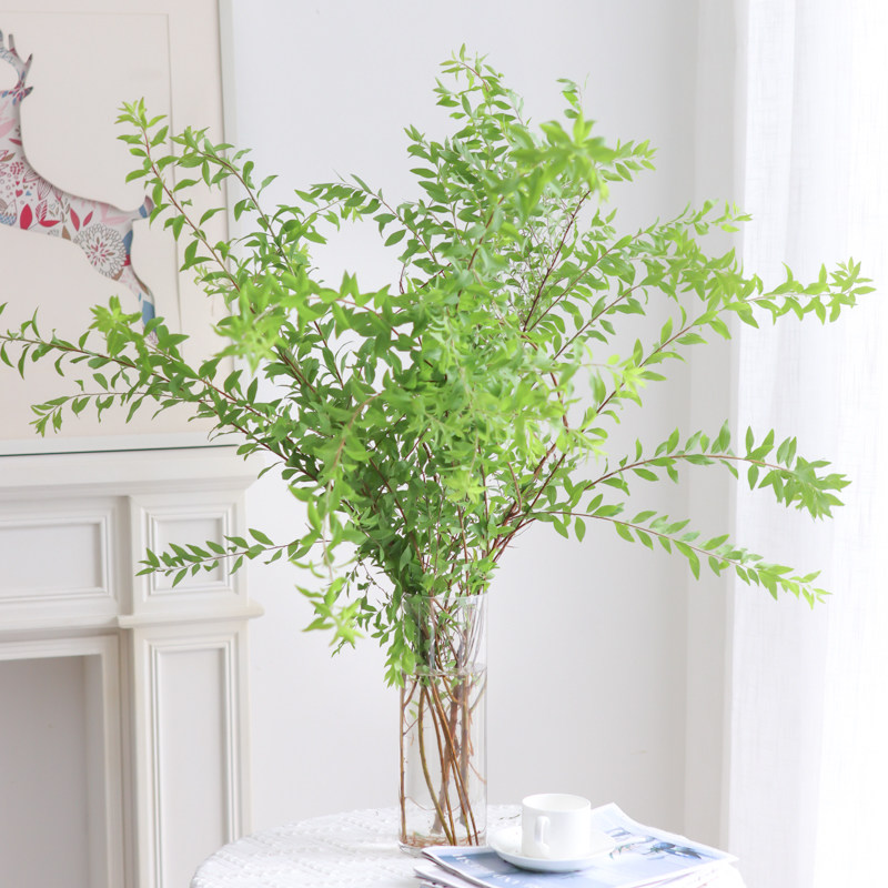 追逸garden-本地雪柳叶鲜切叶材办公室