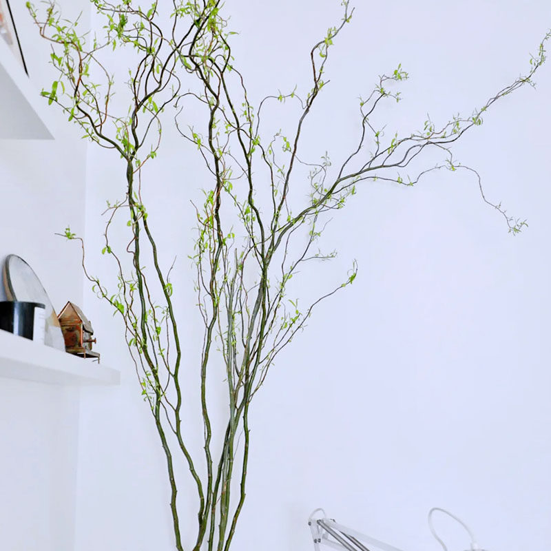 热销上海鲜花批发_龙柳鲜切枝周期长鲜花上海直发家用