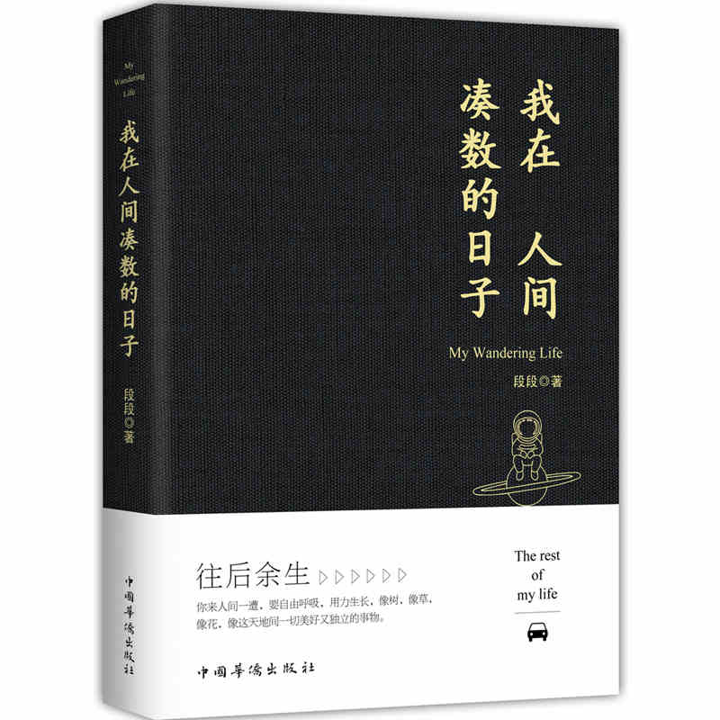 正版 我在人间凑数的日子 段段著皮皮虾书段友新锐作者创作散文精选多篇散文无限的感悟和遐想听什么歌都像在唱自己中国文学