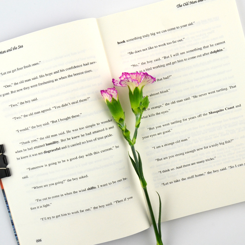 老人与海英文版 海明威 英语阅读书籍全英文原