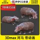 3DMax动物模型3D模型PBR河马Hippo非洲动物FBX动画文件50多套动作