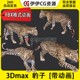 3D模型3DMax动物模型花豹非洲豹野豹金钱豹FBX动画文件豹leopard