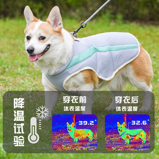 宠物凉凉衣夏季狗狗降温衣服夏防暑反光马甲背心柯基柴犬透气薄款