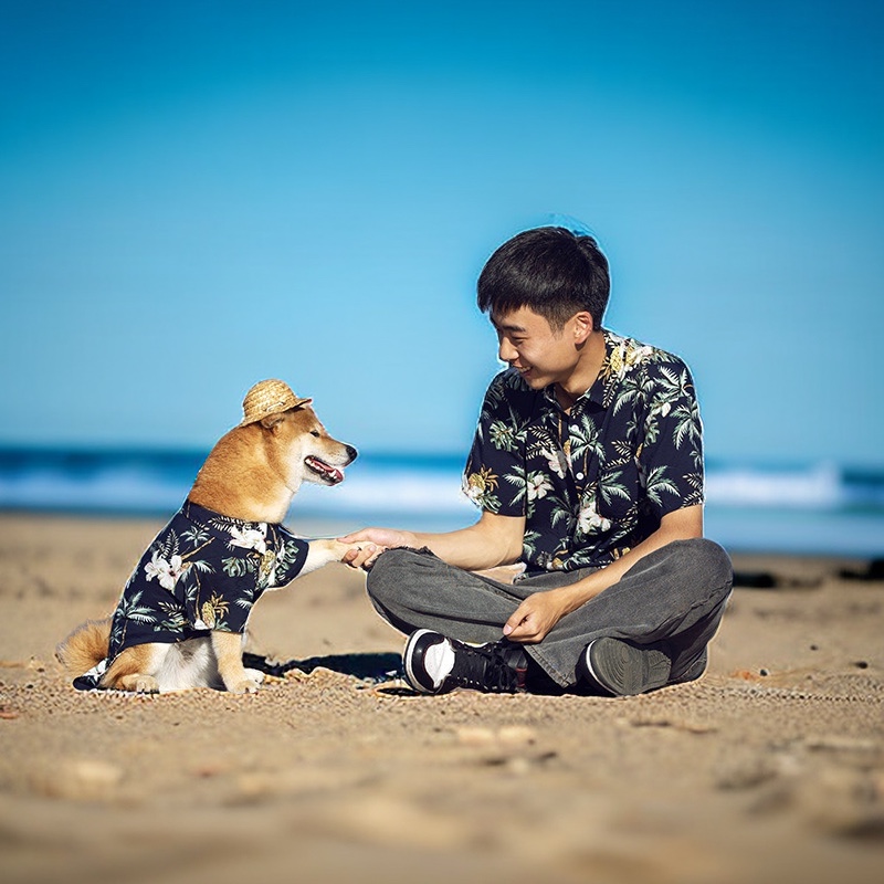 狗狗和主人同款衣服亲子装大人宠物猫咪大型犬柴犬泰迪春秋款夏天