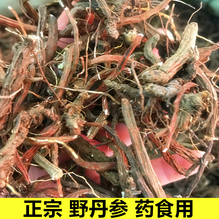 野丹参250g 野生紫丹参特级丹参根 野生紫丹参 中要材 丹参