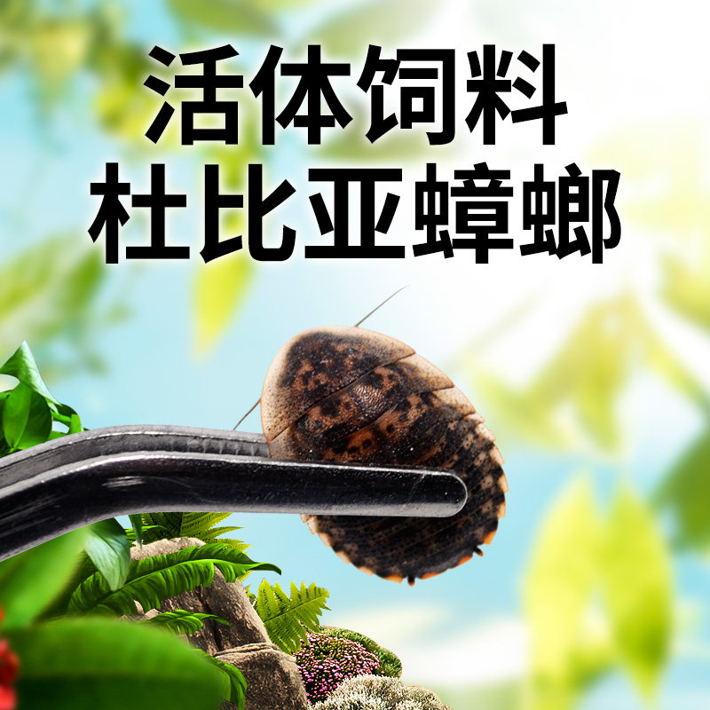 杜比亚