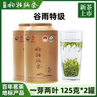 2024年新茶江西遂川狗牯脑茶日照绿茶春茶高山云雾茶叶礼盒 特级