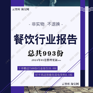 2024更新餐饮行业产业报告 餐饮消费数据大数据市场分析报告素材