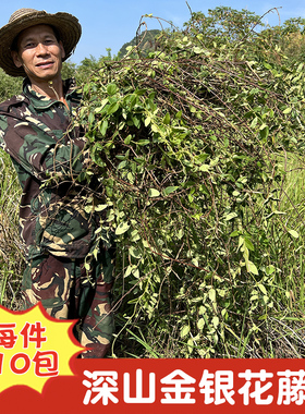 深山金银花藤宝宝洗澡新鲜忍冬藤洗澡500克包邮农家新晒天然药材