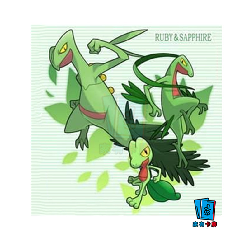 ptcg繁中丰缘御三家木守宫森林蜥蜴王宝可梦卡牌官方正版