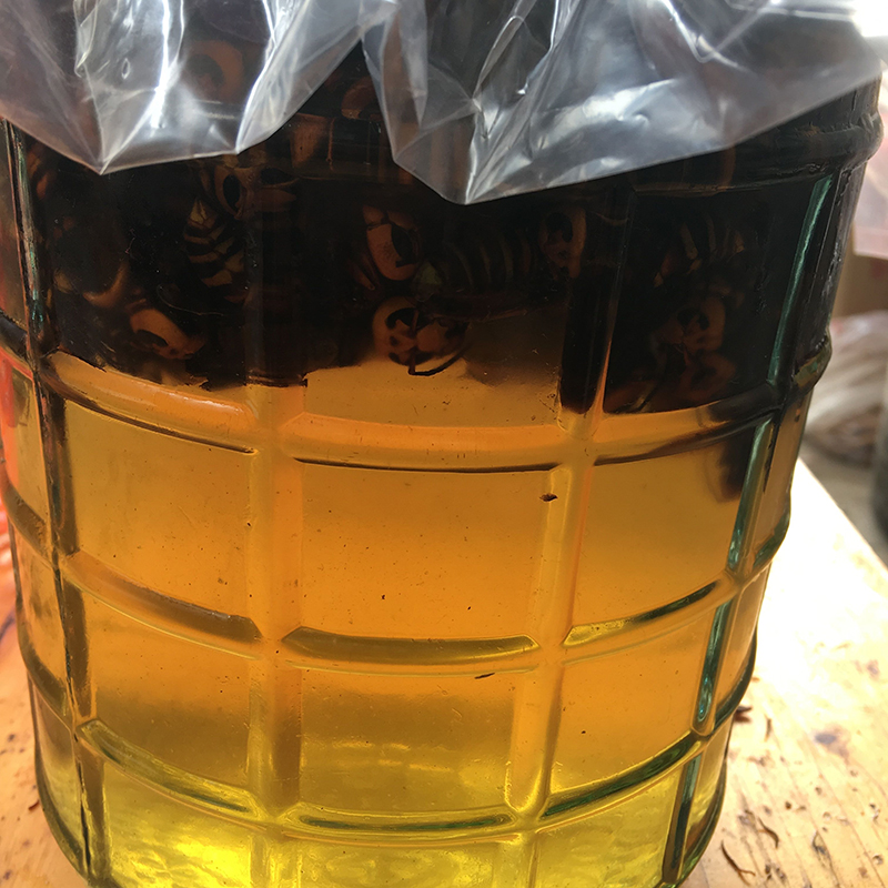 野生胡蜂地雷蜂黄蜂马蜂虎头蜂泡酒料蚂蜂地雷蜂活体新鲜蜂蛹散装