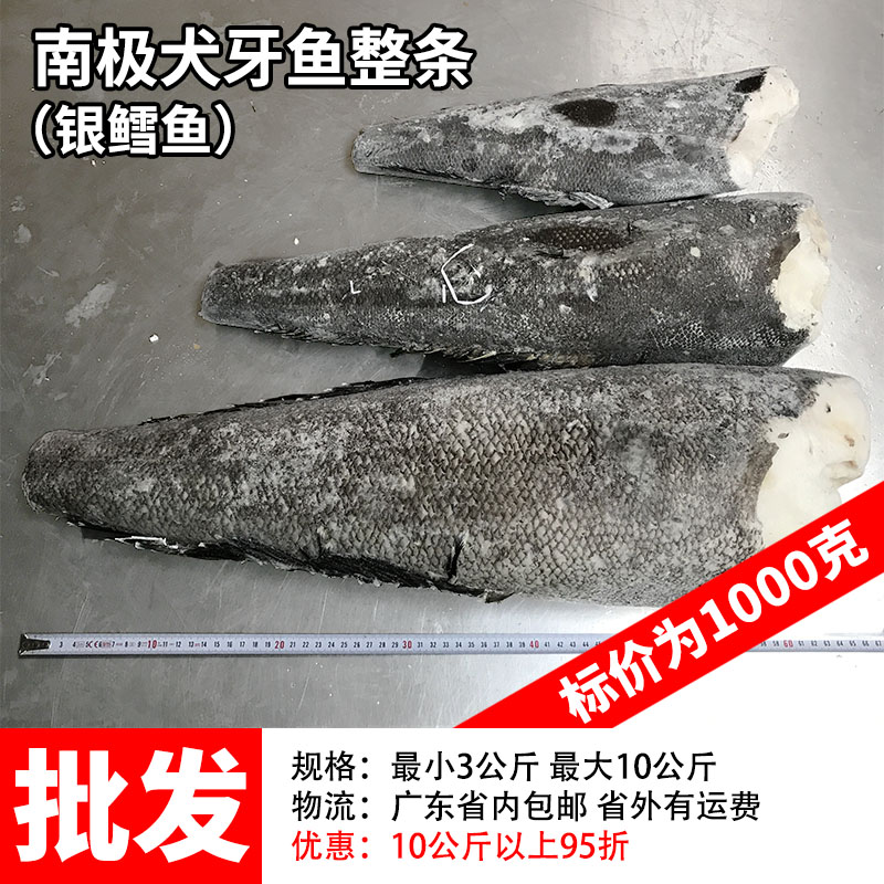 全国 每份1公斤 3份起售 法国银鳕鱼南极犬牙鱼批整发条 包邮 女性