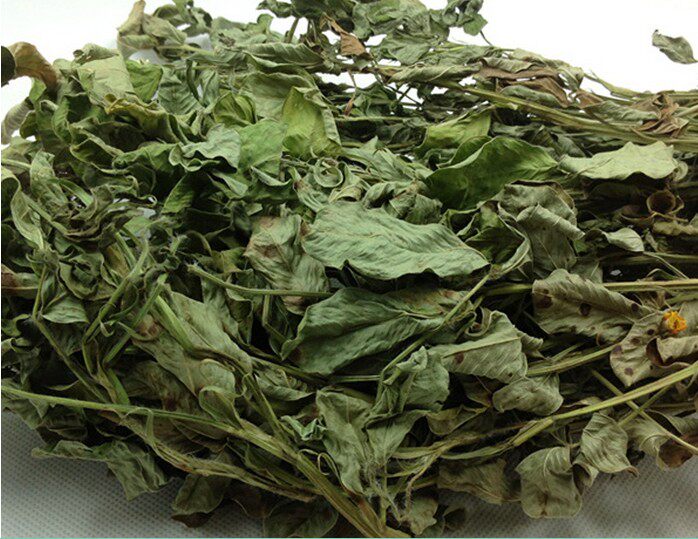 包邮 花草茶 干花生叶 花生叶茶 睡眠好